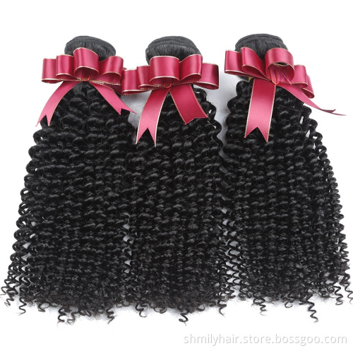 Wholesale Hair Vendors Virgin Bundles In Bulk, One Donor Virgin Cuticle Aligned Hair Mink Brazilian Hair Bundles Manufactures